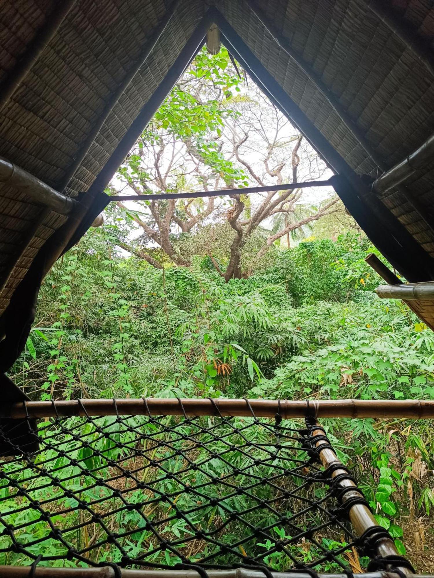 Ecocio Jungle Hostel Busuanga Eksteriør billede