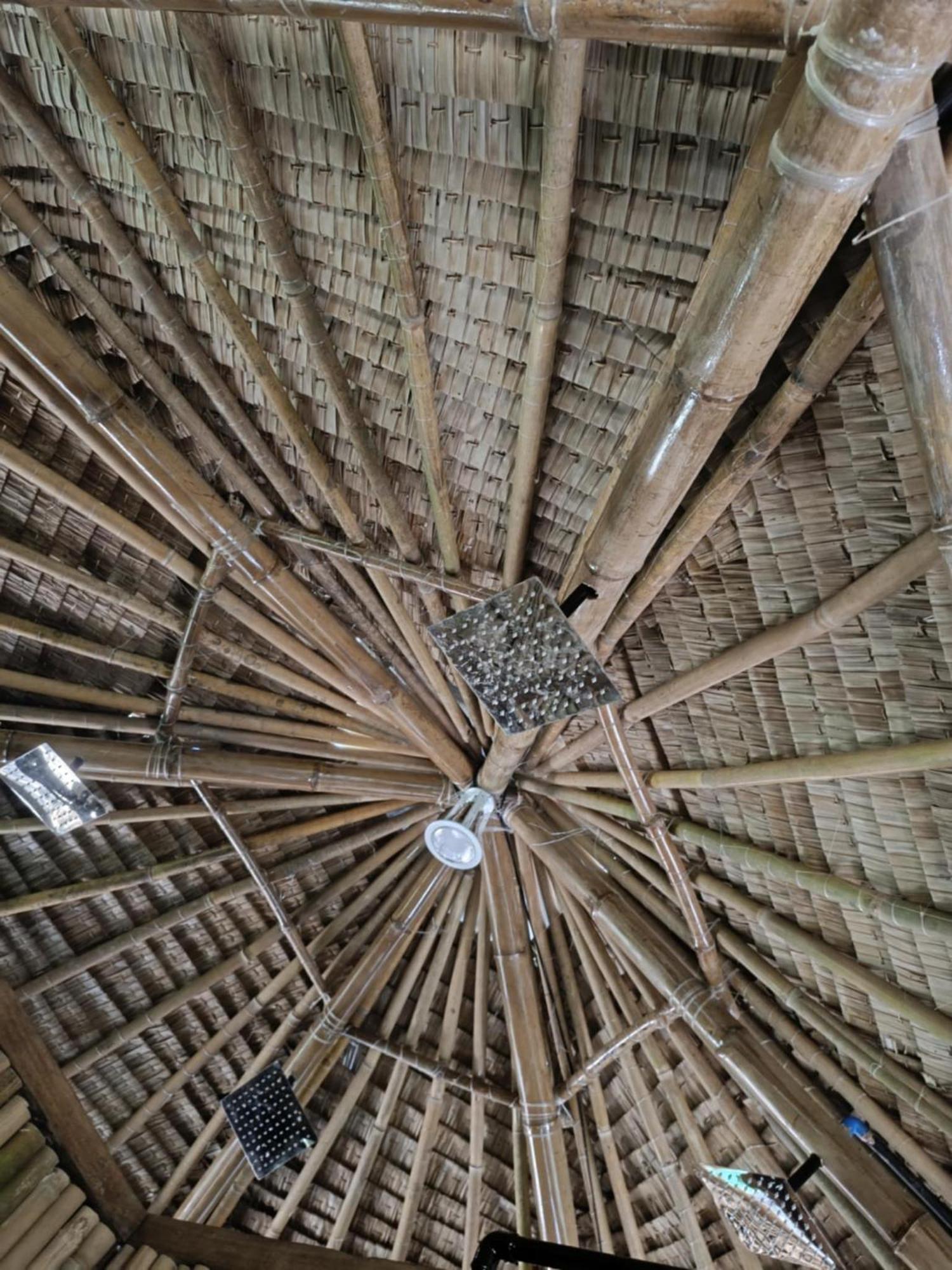 Ecocio Jungle Hostel Busuanga Eksteriør billede