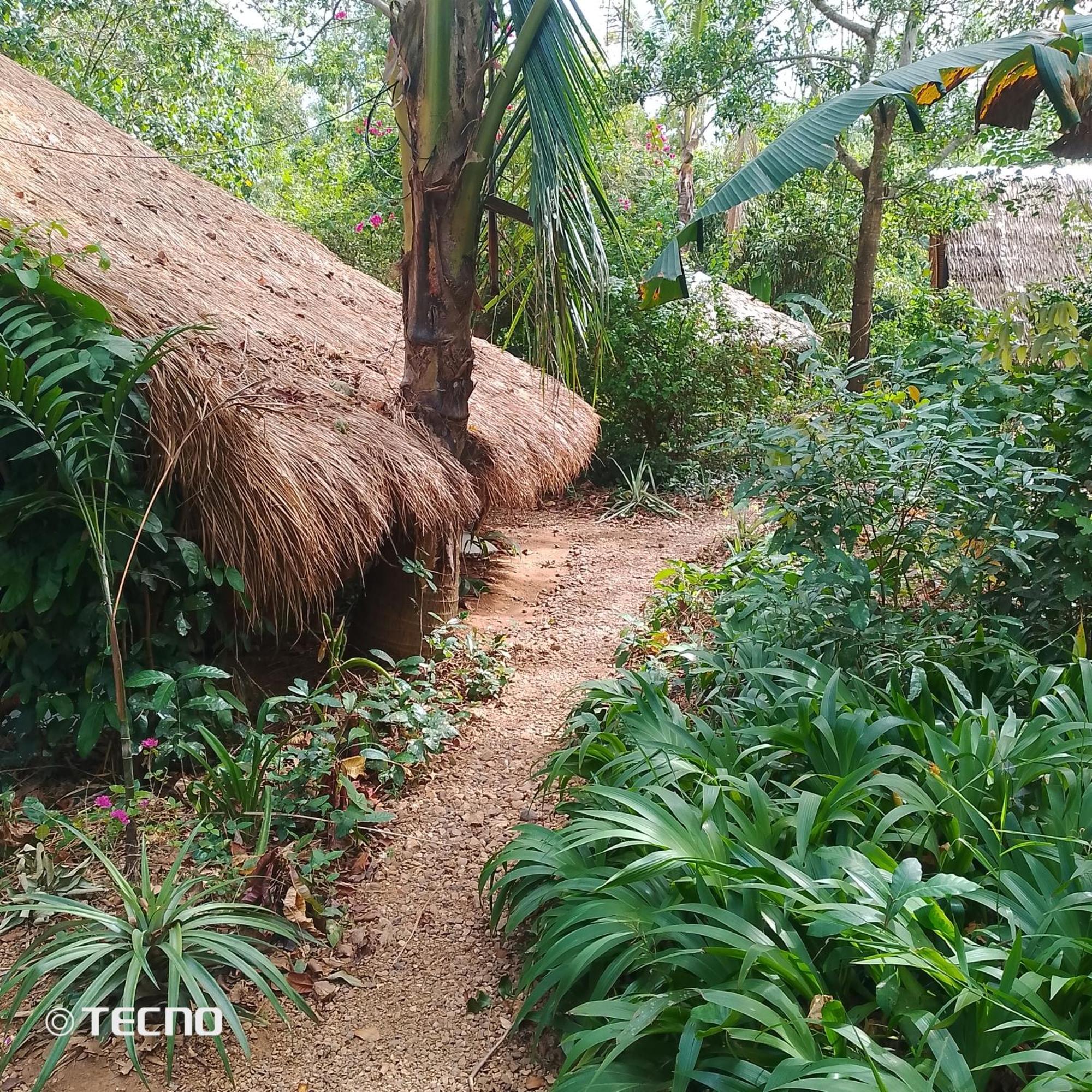 Ecocio Jungle Hostel Busuanga Eksteriør billede