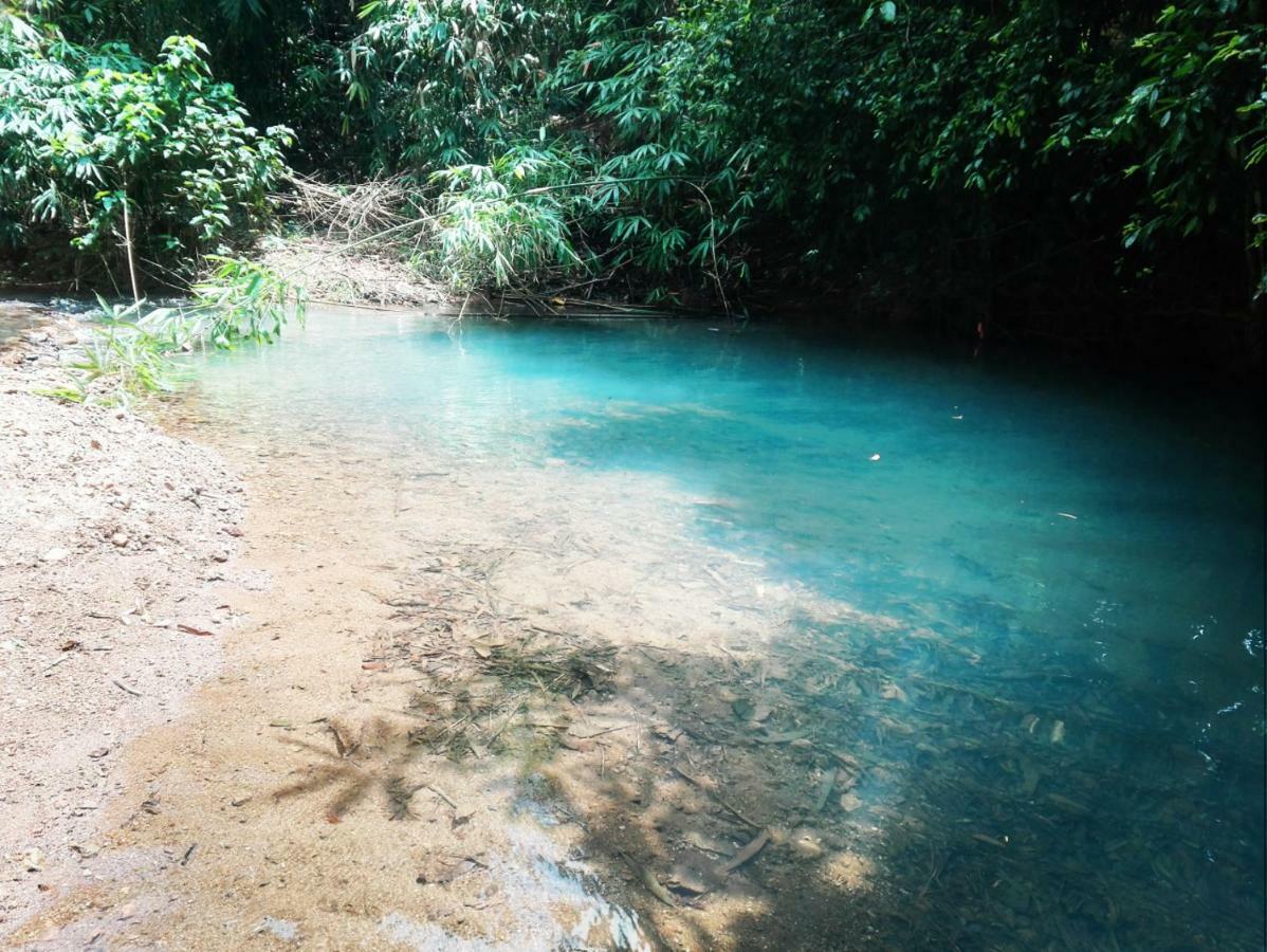 Ecocio Jungle Hostel Busuanga Eksteriør billede